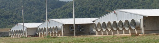 โรงเรือนระบบปิด EVAP (Evapolative Cooling System)