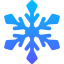 snowflake