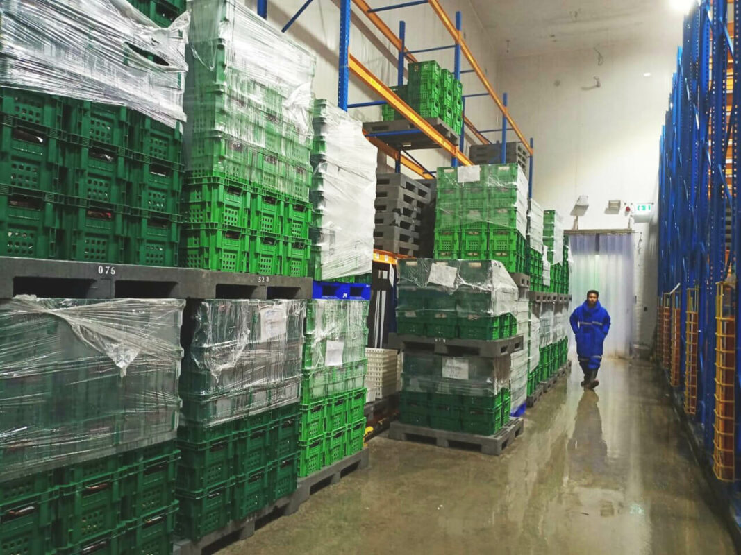 ห้องแช่แข็ง (Freezer Room)