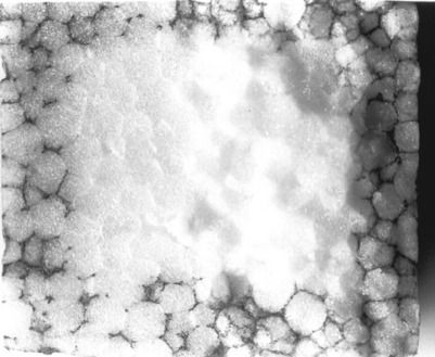 EPS Foam ดูดซับน้ำสูง